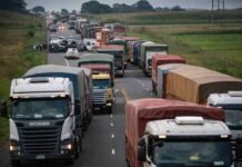 Colapso en plena cosecha: casi 2 millones de camiones saturan rutas y activan un operativo de $100 millones Larga fila de camiones detenidos sobre una ruta rural durante la cosecha, con congestión logística y tránsito saturado en una zona productiva de Santa Fe.