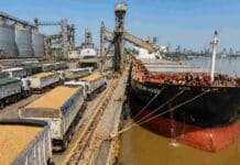 Santa Fe reafirma su liderazgo exportador en el complejo soja y concentra casi la mitad de las ventas externas Camiones cerealeros cargados de soja descargando en un barco granelero en el puerto de Rosario, con silos y terminal portuaria en actividad