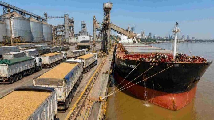 Camiones cerealeros cargados de soja descargando en un barco granelero en el puerto de Rosario, con silos y terminal portuaria en actividad