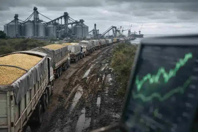 Fila de camiones cargados con soja avanza sobre camino rural embarrado hacia planta portuaria del Gran Rosario, con silos y actividad agroexportadora bajo cielo nublado