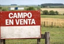 Se dispara el interés por la tierra: el Gobierno busca eliminar el tope del 15% a extranjeros y puede recalentar el precio de la hectárea Cartel de “Campo en venta” en un paisaje rural argentino, representando el mercado de tierras y la inversión en el agro