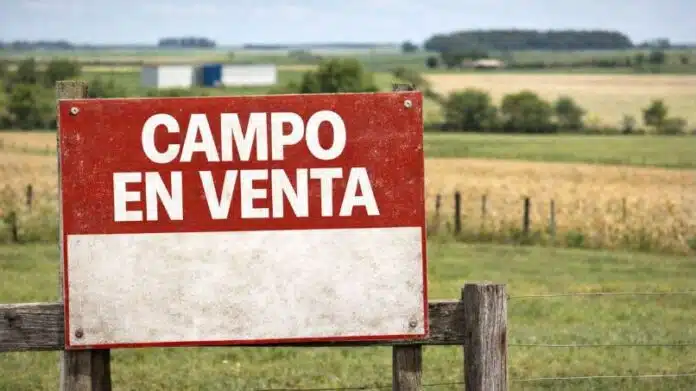 Cartel de “Campo en venta” en un paisaje rural argentino, representando el mercado de tierras y la inversión en el agro