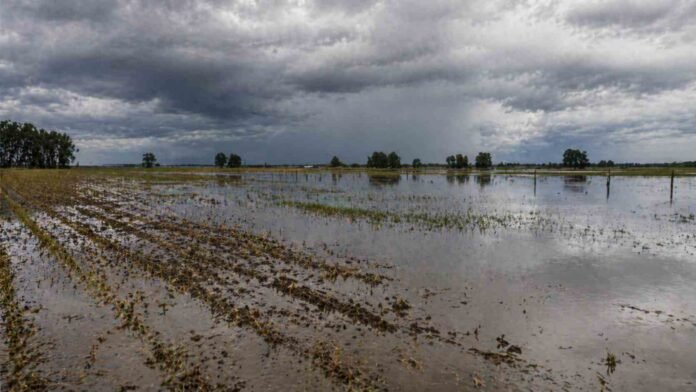 Campo agrícola inundado con exceso de agua bajo cielo tormentoso en Argentina por impacto del fenómeno El Niño