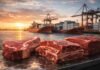 Carne argentina: récord de exportaciones y cambio de destinos con fuerte avance de EE.UU. e Israel Cortes de carne vacuna argentina premium en primer plano con puerto y contenedores de exportación al fondo al amanecer