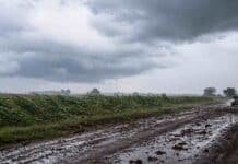 Fuerte combinación de lluvias, viento y nieve impacta en 6 provincias: hasta 60 mm y ráfagas de 90 km/h Campo agrícola con condiciones adversas de viento y suelo húmedo en Argentina