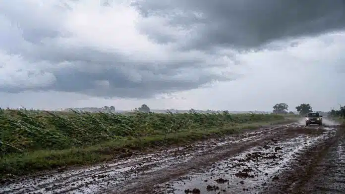 Campo agrícola con condiciones adversas de viento y suelo húmedo en Argentina
