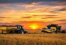 La producción de arroz caería un 19% en Entre Ríos pese a rindes estables Tractor con tolva y cosechadora trabajando en un campo argentino al atardecer, con el sol poniéndose en el horizonte y cielo cálido iluminando la escena rural.