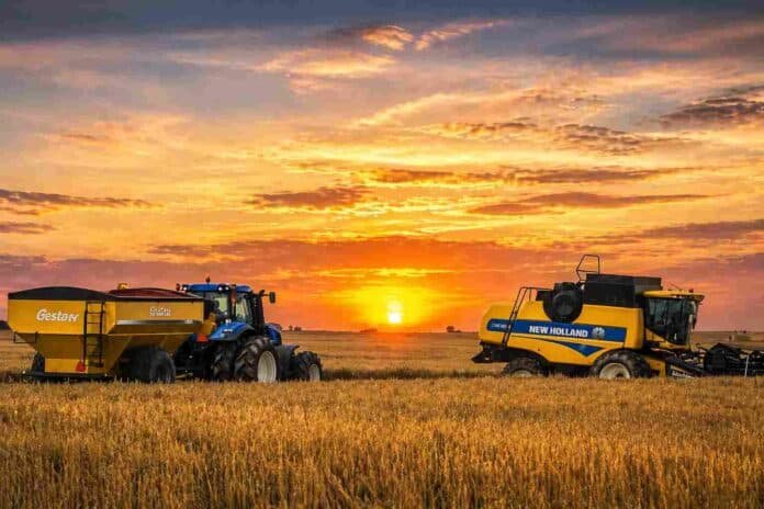 Tractor con tolva y cosechadora trabajando en un campo argentino al atardecer, con el sol poniéndose en el horizonte y cielo cálido iluminando la escena rural.