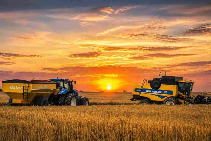 Tractor con tolva y cosechadora trabajando en un campo argentino al atardecer, con el sol poniéndose en el horizonte y cielo cálido iluminando la escena rural.