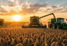 Sin retenciones, el agro sumaría 2,2 M de hectáreas y USD 6.000 M extra: la recaudación solo caería el primer año Cosechadora y tractor trabajando en un campo agrícola durante la cosecha al atardecer en Argentina