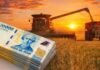 Tasas viales en la mira: fallos judiciales obligan a los municipios a justificar los cobros Cosechadora descargando granos al atardecer con billetes argentinos en primer plano, representando el valor económico de la producción agropecuaria.