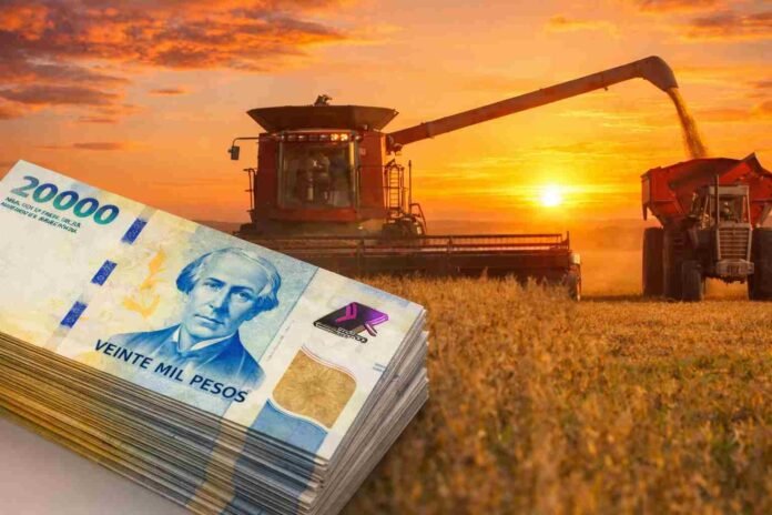 Cosechadora descargando granos al atardecer con billetes argentinos en primer plano, representando el valor económico de la producción agropecuaria.