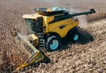 El maíz rompe el techo y llega a 130 qq/ha: genética y manejo elevan el rinde en la zona núcleo Cosechadora trabajando en lote de maíz seco durante la cosecha en la región agrícola argentina