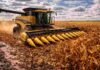 Maíz: la cosecha avanza con buenos rindes y el tardío se consolida con humedad óptima Cosechadora Challenger trabajando en la cosecha de maíz con cabezal maicero en un lote agrícola argentino, avanzando entre hileras secas bajo cielo parcialmente nublado.