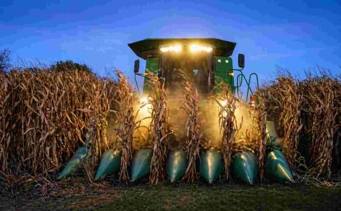 Cosechadora trabajando en la cosecha de maíz con luces encendidas al atardecer en un campo agrícola de Argentina