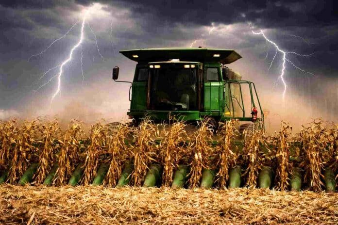cosecha-maiz-tormenta-relampagos-cosechadora-ruralnet Cosechadora trabajando en maíz seco bajo tormenta con relámpagos en el cielo en campo argentino durante la cosecha