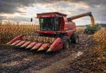 Lluvias de abril: mejora la humedad de los suelos pero complica la cosecha en gran parte de Córdoba Cosechadora encajada en el barro durante la cosecha de maíz en un campo de la Pampa húmeda argentina con suelo saturado y condiciones difíciles