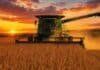 Cosecha de soja: avanza al 10,2% con demoras por lluvias, pero sube la proyección a 48,6 MTn Cosechadora trabajando en la cosecha de soja al atardecer en un campo de la Pampa Húmeda argentina