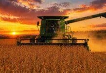 Cosecha de soja: avanza al 10,2% con demoras por lluvias, pero sube la proyección a 48,6 MTn Cosechadora trabajando en la cosecha de soja al atardecer en un campo de la Pampa Húmeda argentina