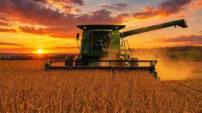 Cosechadora trabajando en la cosecha de soja al atardecer en un campo de la Pampa Húmeda argentina
