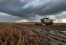 Nuevo pulso de lluvias y tormentas entre el 1 y 3 de mayo: vuelve a frenarse la cosecha Cosechadora Claas trabajando en un lote de soja madura con barro y huellas profundas, avanzando en el mismo sentido de los surcos bajo cielo de tormenta con lluvias en el horizonte.