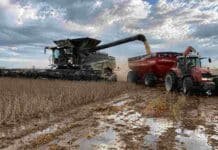 Lluvias frenan la cosecha de soja, pero los rindes sorprenden y sostienen la proyección de 48,5 Mt Cosecha de soja en campo húmedo con charcos, una cosechadora Fendt con orugas descarga granos sobre una tolva Cestari remolcada por un tractor Massey Ferguson en lote listo para cosecha