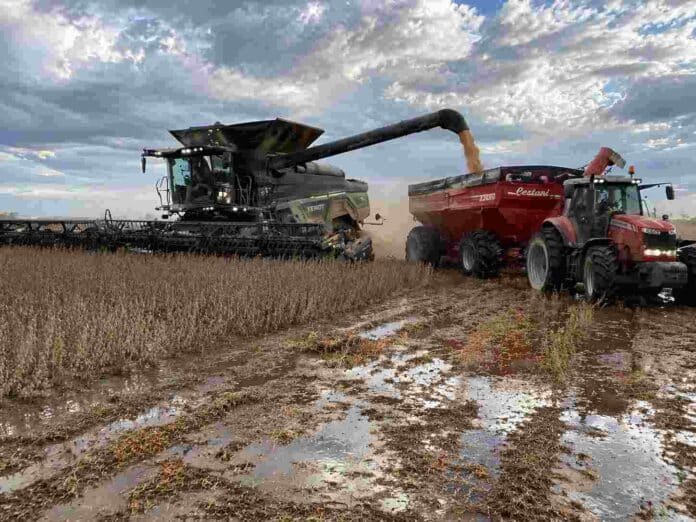 Cosecha de soja en campo húmedo con charcos, una cosechadora Fendt con orugas descarga granos sobre una tolva Cestari remolcada por un tractor Massey Ferguson en lote listo para cosecha