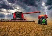 La agroindustria frenó en marzo, pero sigue muy por encima del 2025 Cosechadora y tractor trabajando en la cosecha de soja bajo cielo de tormenta con relámpagos en la zona núcleo argentina