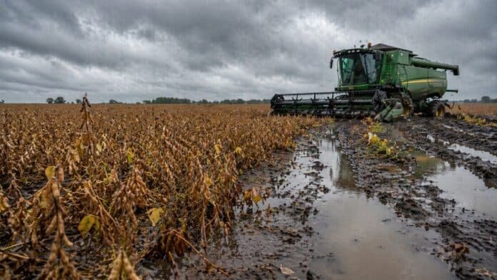 Cosechadora detenida en campo de soja con barro y agua acumulada por lluvias intensas en Entre Ríos