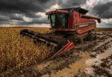 La soja mejora con las lluvias, pero la cosecha se frena y crece la presión en los lotes Cosechadora Vassalli empantanada en un lote de soja bajo condiciones de excesos hídricos, con barro y charcos que dificultan la cosecha en la región agrícola argentina.