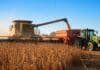 Mejora el ritmo de cosecha en Santa Fe: maíz al 90% y soja en pleno avance Cosechadora y tractor trabajando en lote de soja durante jornada de cosecha en el centro-norte de Santa Fe