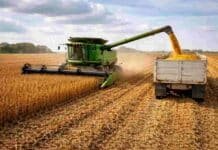 Santa Fe: arrancó la cosecha de soja temprana y el avance del maíz sigue condicionado por la humedad Cosechadora trabaja en la recolección de soja y descarga granos en un camión en un campo argentino, en plena campaña agrícola con buen rendimiento.