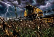 Lluvias paralizan la cosecha en Santa Fe y golpean a la soja y el maíz Cosechadora trabajando en un lote de soja en la Pampa húmeda bajo cielo de tormenta con relámpagos, reflejando condiciones climáticas adversas para la cosecha.