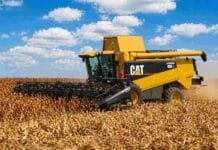 Sorgo: la cosecha avanza al 18,5% con demoras por lluvias y producción en 2,9 MTn Cosechadora CAT trabajando en la cosecha de sorgo bajo cielo con nubes en un campo de la Pampa Húmeda argentina