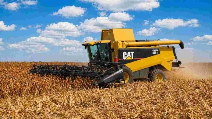 Cosechadora CAT trabajando en la cosecha de sorgo bajo cielo con nubes en un campo de la Pampa Húmeda argentina
