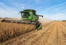 Brasil romperá otro récord: la cosecha de soja 2025/26 llegaría a 181 millones de toneladas Cosechadora trabajando en lote de soja durante la cosecha en campo agrícola de Brasil