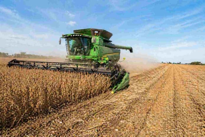 Cosechadora trabajando en lote de soja durante la cosecha en campo agrícola de Brasil