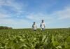 BASF se expande en biológicos: compra AgBiTech y acelera el control de plagas en soja, maíz y algodón Productores recorren un lote de soja en buen estado bajo cielo despejado, evaluando el desarrollo del cultivo en plena campaña agrícola.