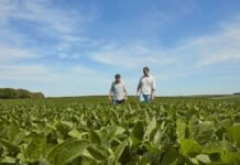 BASF se expande en biológicos: compra AgBiTech y acelera el control de plagas en soja, maíz y algodón Productores recorren un lote de soja en buen estado bajo cielo despejado, evaluando el desarrollo del cultivo en plena campaña agrícola.