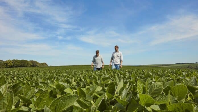 Productores recorren un lote de soja en buen estado bajo cielo despejado, evaluando el desarrollo del cultivo en plena campaña agrícola.