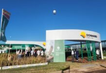 Trigo 2026: qué variedades elegir para arrancar la campaña con más rinde y mejor sanidad Stand de DONMARIO en evento agrícola con productores recorriendo parcelas demostrativas y presentación de genética de trigo para la campaña 2026.