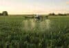 INTA desarrolló un protocolo científico para medir la deriva de fitosanitarios en aplicaciones con drones Dron agrícola aplicando insumos sobre cultivo de maíz en campo argentino con luz de atardecer