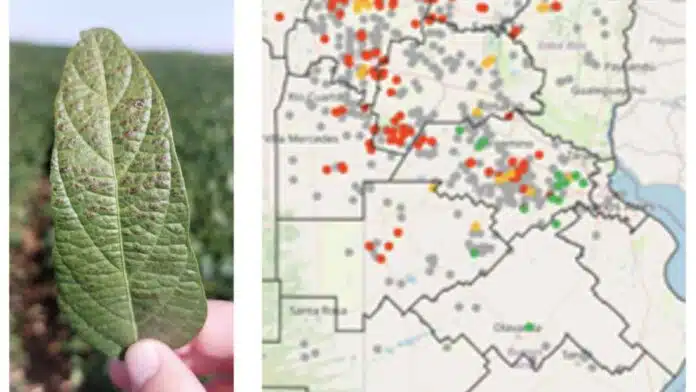 Hoja de soja con síntomas de enfermedades de fin de ciclo en primer plano y mapa de riesgo sanitario con focos rojos en la región pampeana argentina