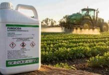 Cambian las etiquetas de fitosanitarios: desde ahora deberán incluir pictogramas y advertencias obligatorias Envase de fitosanitario en primer plano con tractor aplicando en un campo agrícola durante la mañana