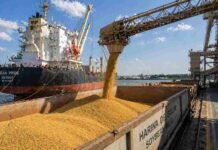 Europa enciende alarmas por soja argentina: detectan trazas de HB4 y crece el riesgo de freno a embarques Carga de harina de soja en buque granelero en puerto argentino durante operación de exportación