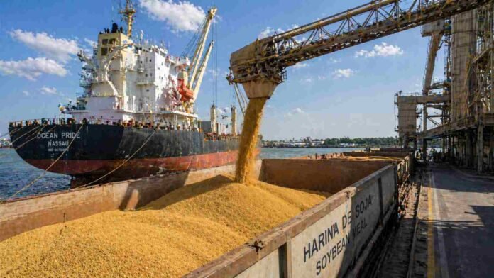 Carga de harina de soja en buque granelero en puerto argentino durante operación de exportación