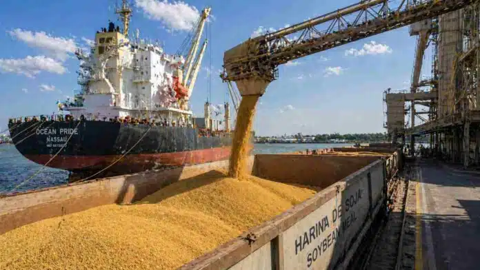 Carga de harina de soja en buque granelero en puerto argentino durante operación de exportación