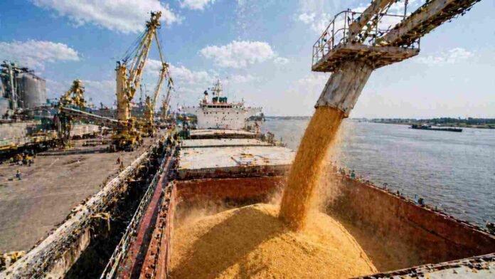 Carga de maíz en buque granelero desde terminal portuaria argentina con maquinaria industrial en operación