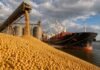 Golpe a la soja: Europa avanza con recortes hasta 2030 y el Cono Sur alerta por pérdidas millonarias Carga de soja en puerto argentino hacia buque exportador con silos y grúas, reflejando el impacto comercial de las medidas europeas