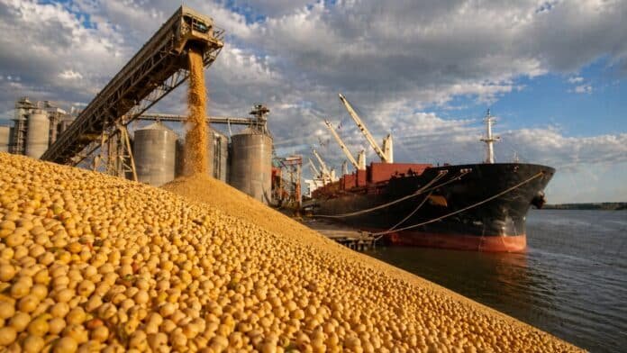 Carga de soja en puerto argentino hacia buque exportador con silos y grúas, reflejando el impacto comercial de las medidas europeas